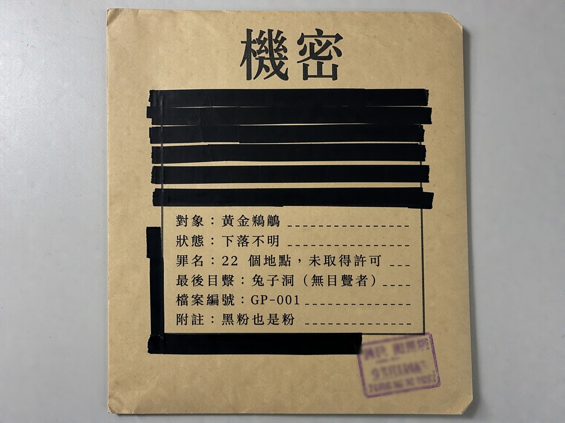 機密檔案中文版